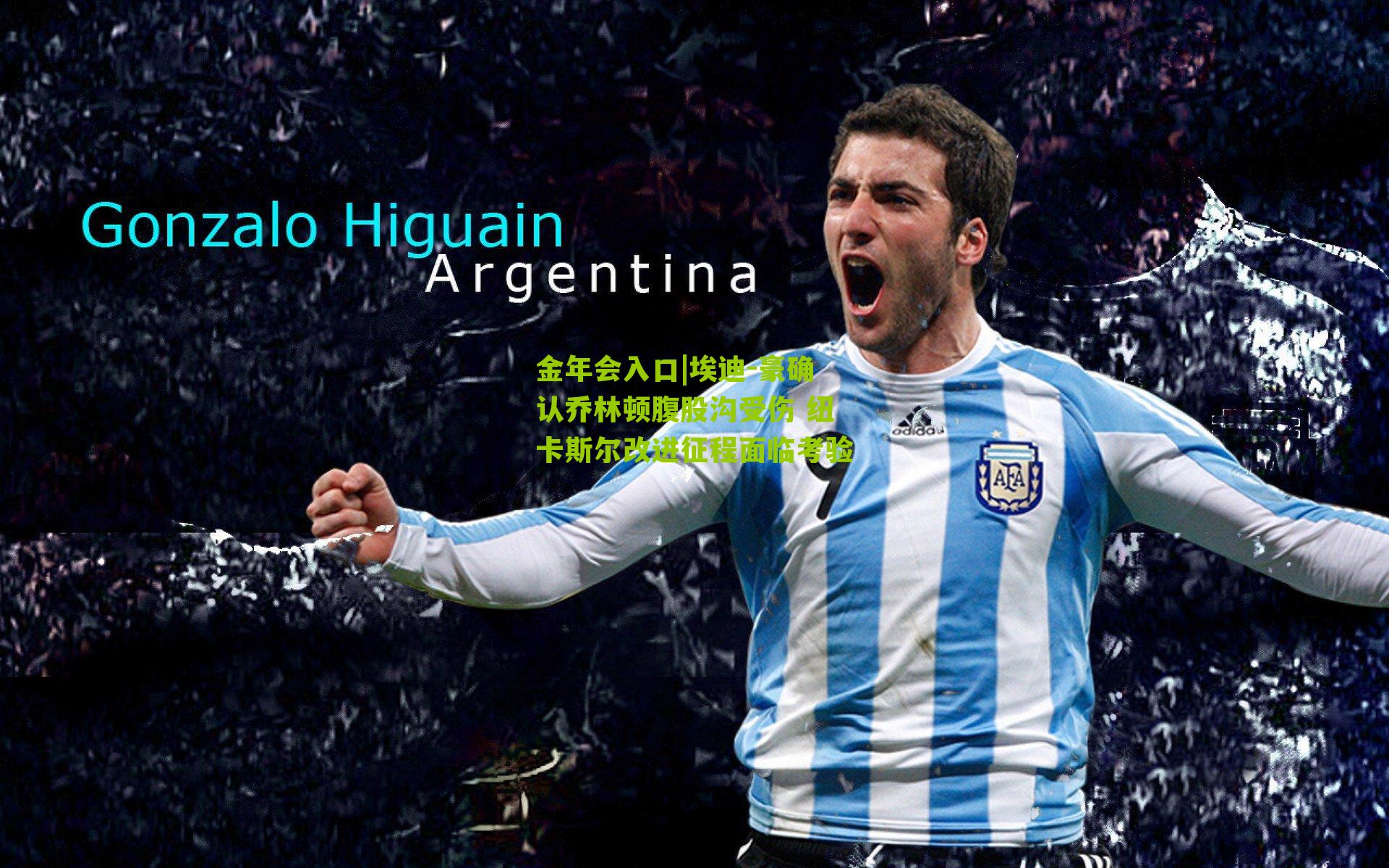 埃迪-豪确认乔林顿腹股沟受伤 纽卡斯尔改进征程面临考验