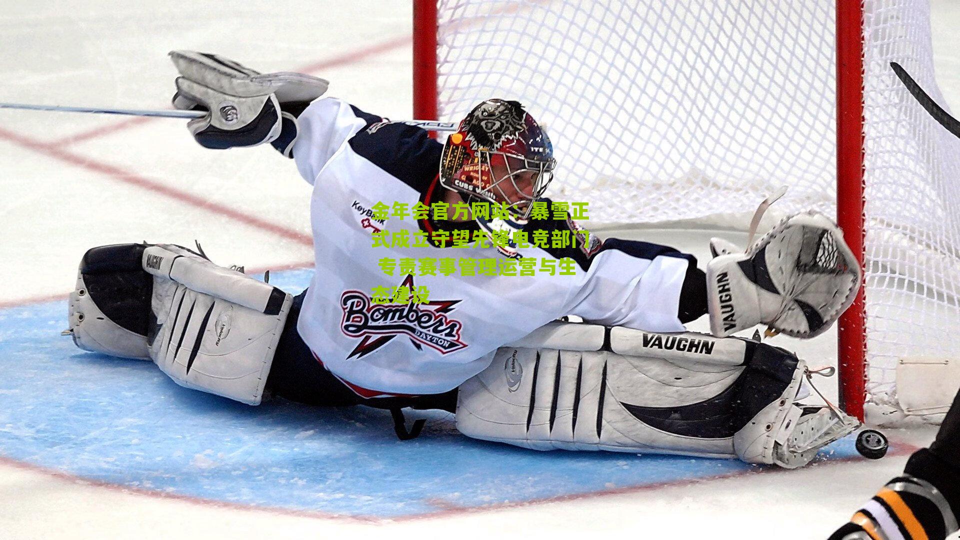 暴雪正式成立守望先锋电竞部门 专责赛事管理运营与生态建设